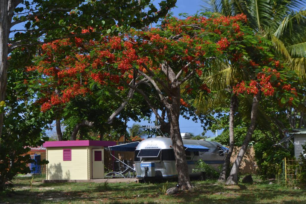 Airstream Paradise Bernard Экстерьер фото